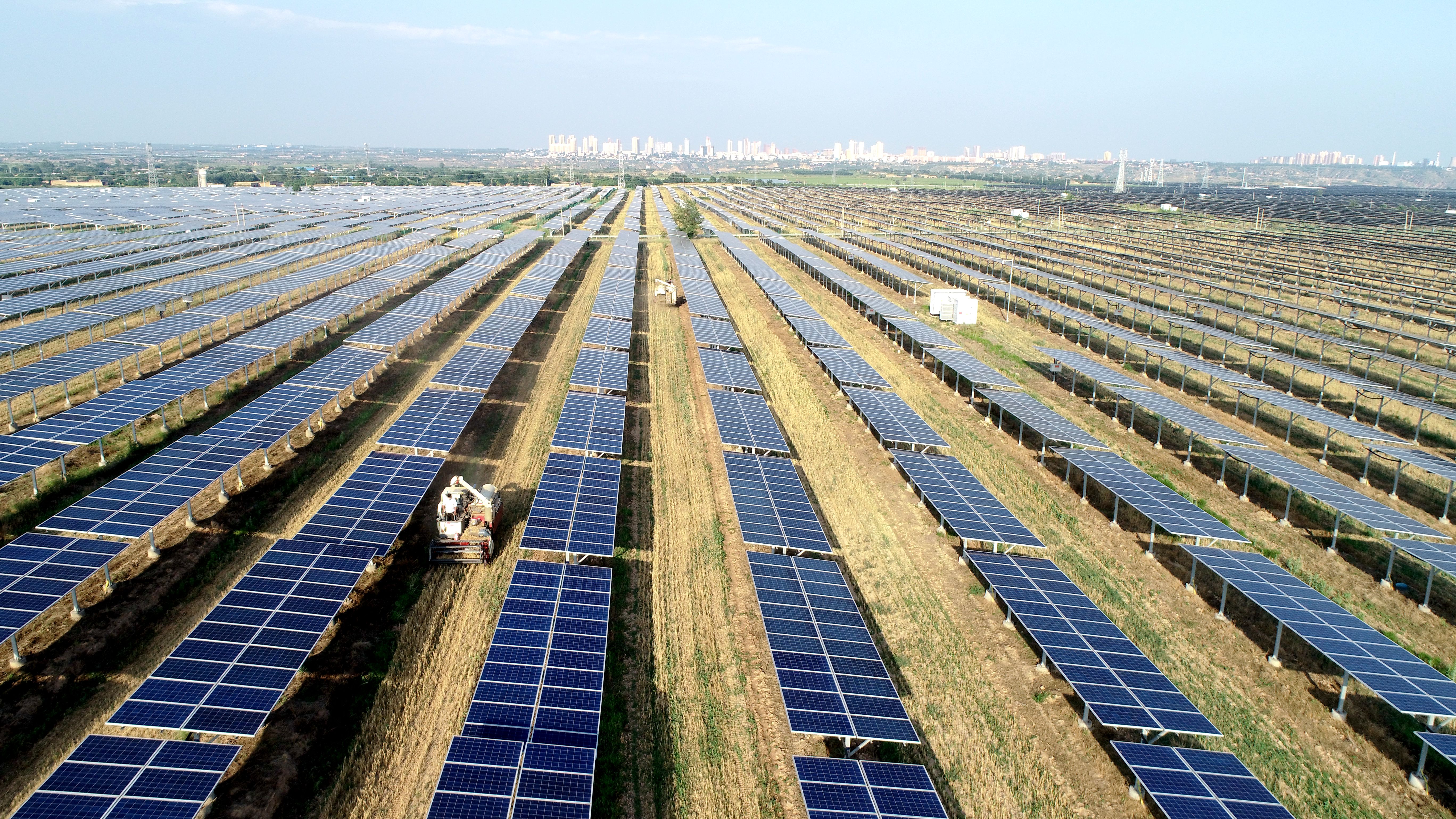 2.大唐澄城安里10萬千瓦農光互補光伏電站采取“農光互補”模式，不僅大大提高土地綜合利用率，還帶動當地村民在家門口就業，促進農民增收。任永紅攝 .jpg