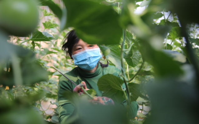 1666919166410022453.png 微信截圖_20221028090531.png