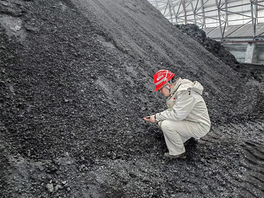 1708506562936037633.jpg 3-大唐東營發電公司職工查看煤炭煤質情況a.jpg