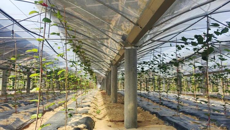 1730425685804059669.jpg 4.jpg