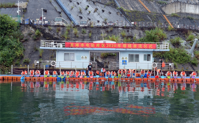 1627290135302016295.jpg 8.jpg